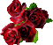 róże - Besplatni animirani GIF animirani GIF