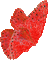 red butterfly - Nemokamas animacinis gif animuotas GIF
