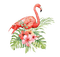 Flamingo, Blätter, Hibiskus - png ฟรี GIF แบบเคลื่อนไหว