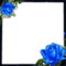 frame cadre flowers - gratis png geanimeerde GIF