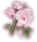 Kaz_Creations Deco Flowers Flower Colours - gratis png animeret GIF