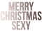 merry christmas sexy text
