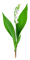 Kaz_Creations Flowers Flower Deco - png gratuito GIF animata