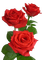 red roses - nemokama png animuotas GIF