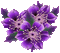 Flowers - Nemokamas animacinis gif animuotas GIF