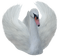 Schwan - Free PNG Animated GIF