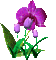flowers gif katrin - Free animated GIF Animated GIF