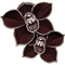 Flowers brown bp - PNG gratuit GIF animé