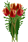 FLOWERS - Darmowy animowany GIF animowany gif