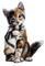 Poes - 免费PNG 动画 GIF