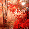 Autumn bg dm19 - Darmowy animowany GIF animowany gif