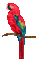 Parrot birds bp - Gratis animerad GIF animerad GIF