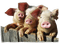 cerdo - δωρεάν png κινούμενο GIF