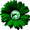 Animated.Flower.Green - By KittyKatLuv65 - Ingyenes animált GIF animált GIF