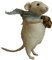 raton