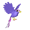 pájaro morado