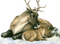 deer katrin - Free PNG Animated GIF