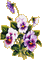 flores  gif  dubravka4 - Darmowy animowany GIF animowany gif
