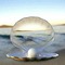 pearl shell bp - δωρεάν png κινούμενο GIF