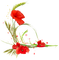 Poppies - δωρεάν png κινούμενο GIF