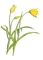 PLANTAS - безплатен png анимиран GIF