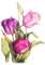 Tulpen, Pinktöne - PNG gratuit GIF animé