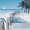 soave background animated summer tropical beach - Zdarma animovaný GIF animovaný GIF