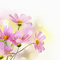 цветы - darmowe png animowany gif