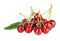 cherry,tree - δωρεάν png κινούμενο GIF