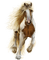 Pferd - ingyenes png animált GIF