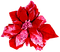 Christmas.Flower.Red.Pink - png gratis GIF animado