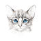 Kitten - besplatni png animirani GIF