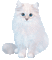 soave cat animals animated deco white blue - GIF animé gratuit GIF animé