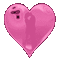 coe s34 rose pink - Bezmaksas animēts GIF animēts GIF