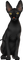 black cat by nataliplus - безплатен png анимиран GIF