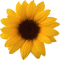 Kaz_Creations Deco Flowers Sunflower Flower - besplatni png animirani GIF