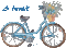vélo fleuri - Бесплатный анимированный гифка анимированный гифка