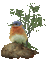 Bird.Oiseau.Nature.rocher.stone.Victoriabea - Ücretsiz animasyonlu GIF animasyonlu GIF