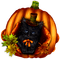 Autumn.Halloween.Cat.Black - PNG gratuit GIF animé
