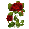 gif roses rouges - GIF animé gratuit GIF animé
