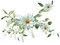 Spring.Branch.White flowers.Victoriabea - png ฟรี GIF แบบเคลื่อนไหว