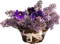 fiori viola-lila blommor-purple flowers-fleurs violettes-minou52 - Free PNG Animated GIF
