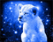 lionceau blanc - Besplatni animirani GIF animirani GIF