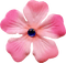Kaz_Creations Deco Flower Pink Colours - besplatni png animirani GIF