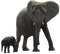 Kaz_Creations Elephant - δωρεάν png κινούμενο GIF