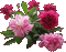 flowers katrin - Darmowy animowany GIF animowany gif
