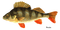 poisson - безплатен png анимиран GIF