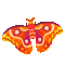atlas moth by pikaole - Darmowy animowany GIF animowany gif