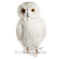 owl - png gratis GIF animasi