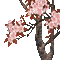 tree arbre baum spring printemps garden jardin tube deco summer ete blossom blüten fleurir
